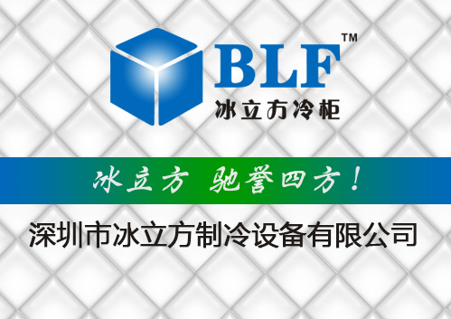 冰立方冷柜引领时尚潮流