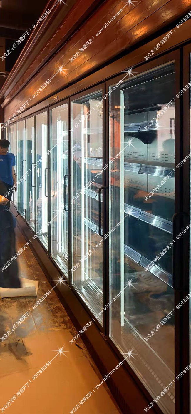 珠海市海珠区万达广场10门冷柜展示柜
